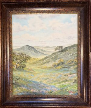 Texas Hills